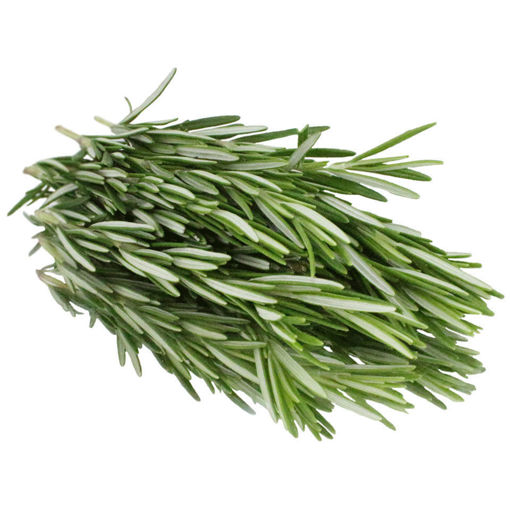 Picture of Rosemary