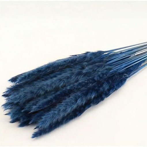 Picture of Pampas Grass | Dark Blue | 70g