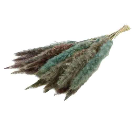 Picture of Pampas Grass Light Blue 70gr