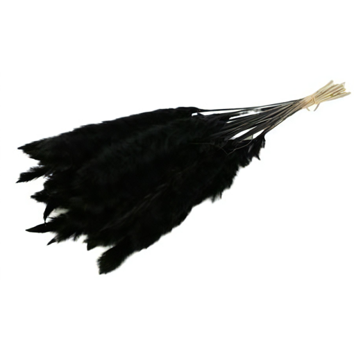 Picture of Pampas Grass | Black | 70g