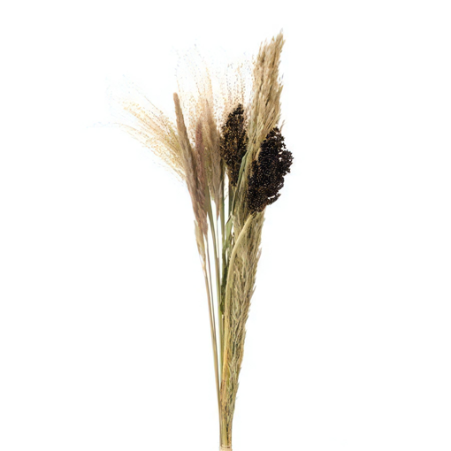 Picture of Dried flower mix Bouquet Natural