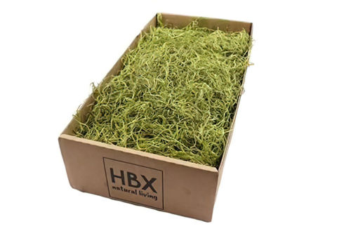 Picture of Preserved Tillandsia Moss |  350gm