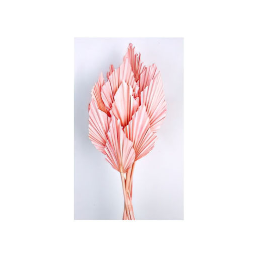 Picture of Palm Spear | 10pcs | Light Pink
