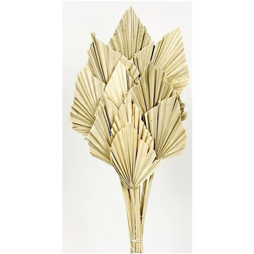 Picture of Palm Spear | 10pcs|  Natural