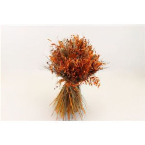 Picture of Bouquet Dutch Harvest - Large Orange