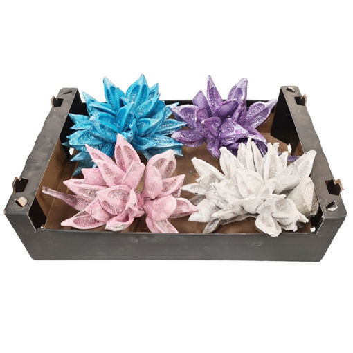 Picture of Sororoca Penca Heads - Medium - Christmas Mx 2