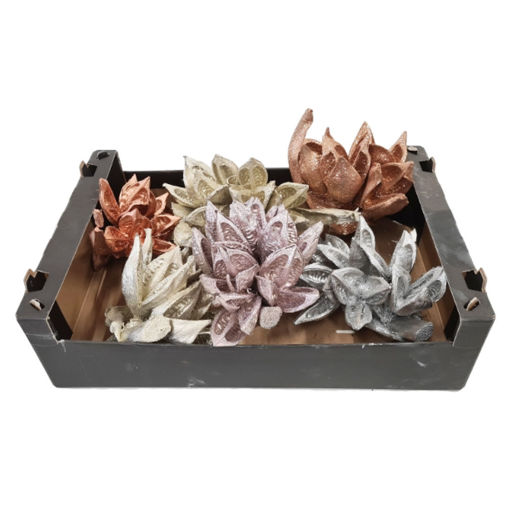 Picture of Sororoca Penca Heads - Small - Christmas Mx 1