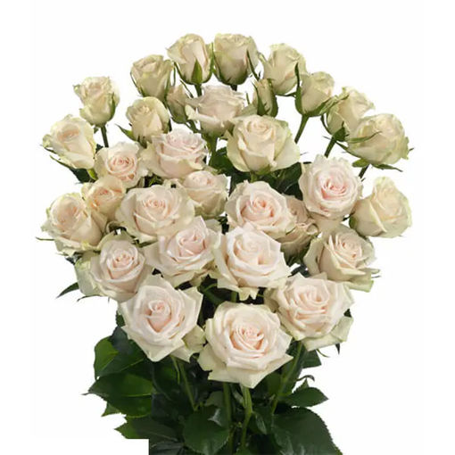 Picture of Rose Spray Porcelina