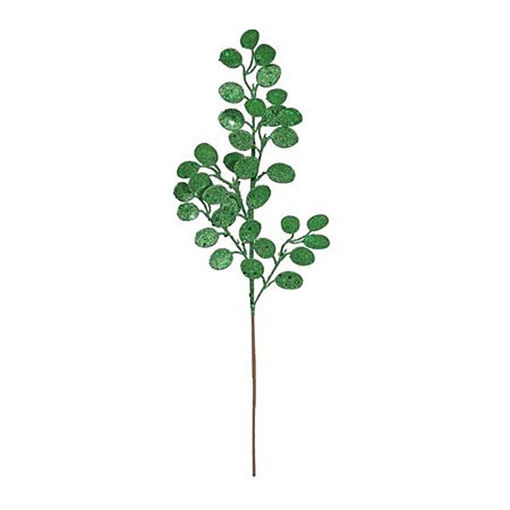 Picture of Eucalyptus stem | Green