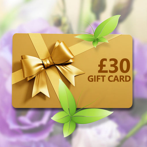 £30 Gift Voucher