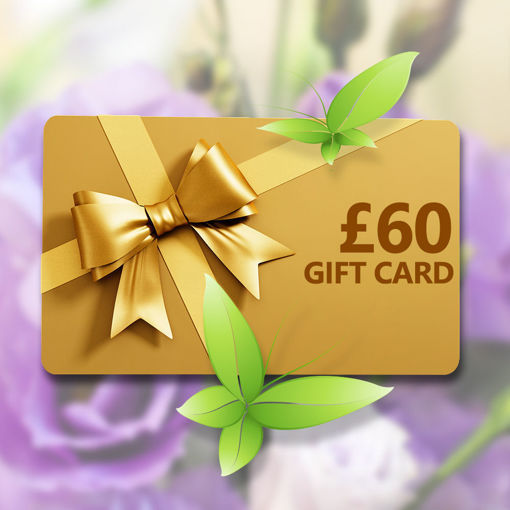 £60 Gift Voucher