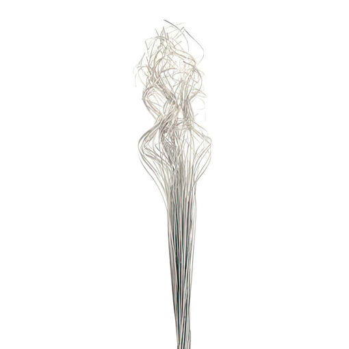 Picture of Silver Curly Ting Ting
