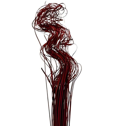 Picture of Red Ting Ting