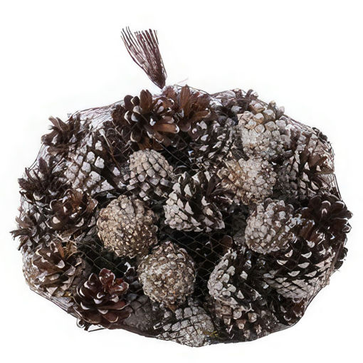 Picture of White Tip Pinus Sylvestris Cones | 1kg
