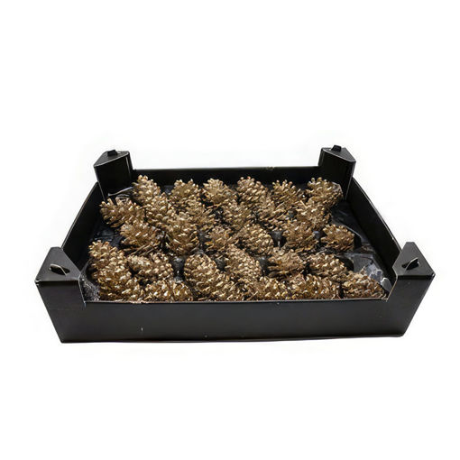 Picture of Glittered Pinecone | Old Gold | 6-8cm