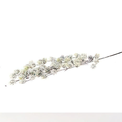 Picture of Pick Spruce stem in White 70cm