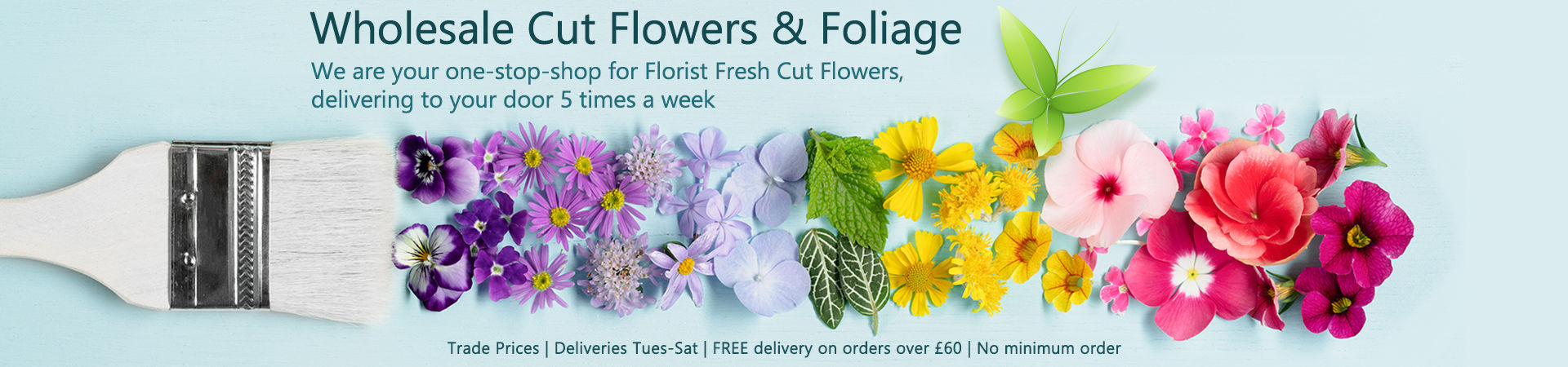 FlowerSuppliers.co.uk cut flowers at wholesale prices