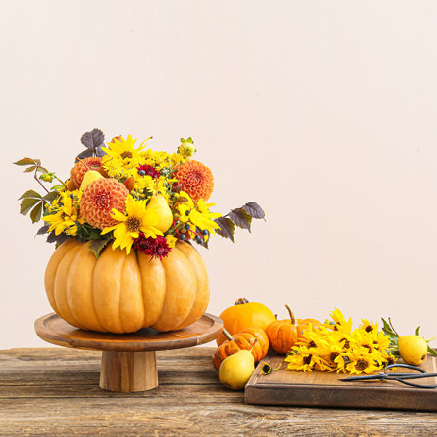 Top Autumn Flowers to Brighten Your Home this Season Wholesale Cut