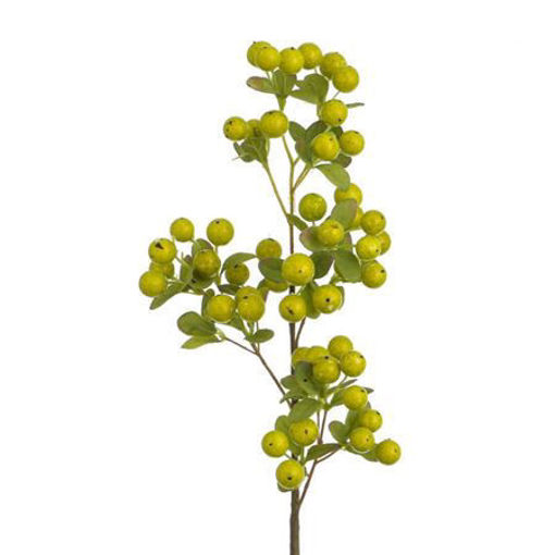 Picture of Berry Spray Cream/Green | 56cm