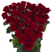 Picture of Dominica Spray Rose