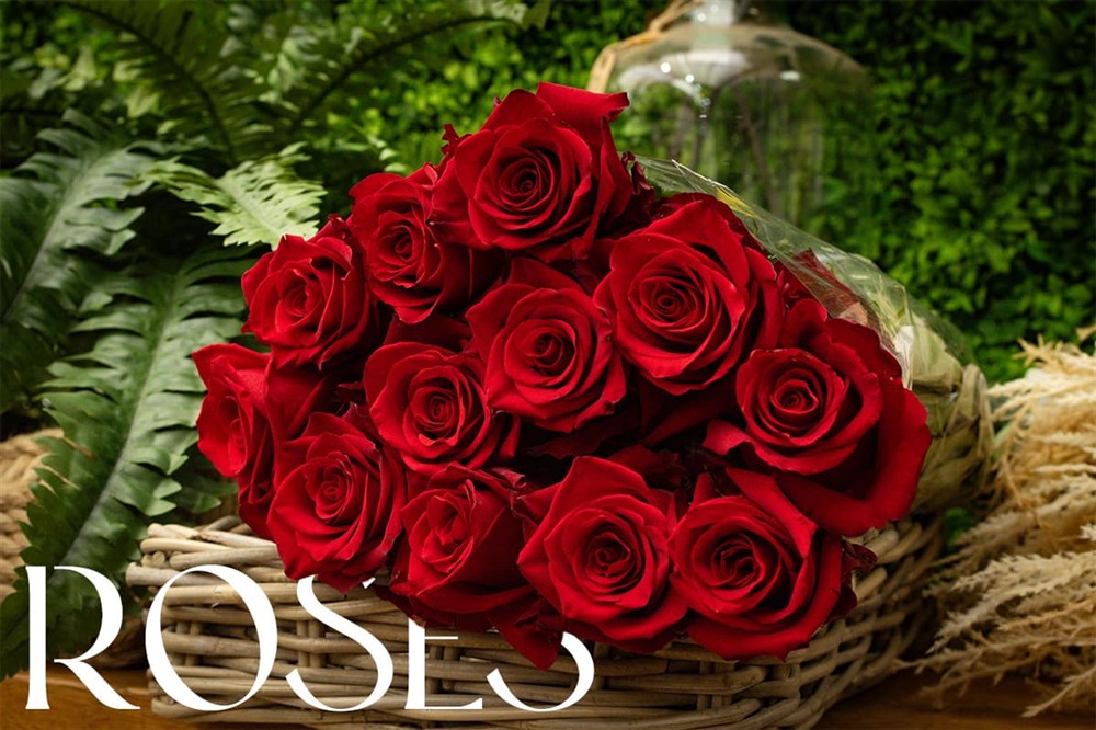 Red roses